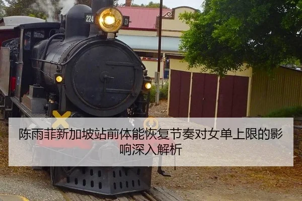陈雨菲新加坡站前体能恢复节奏对女单上限的影响深入解析