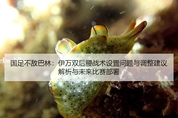 国足不敌巴林：伊万双后腰战术设置问题与调整建议解析与未来比赛部署